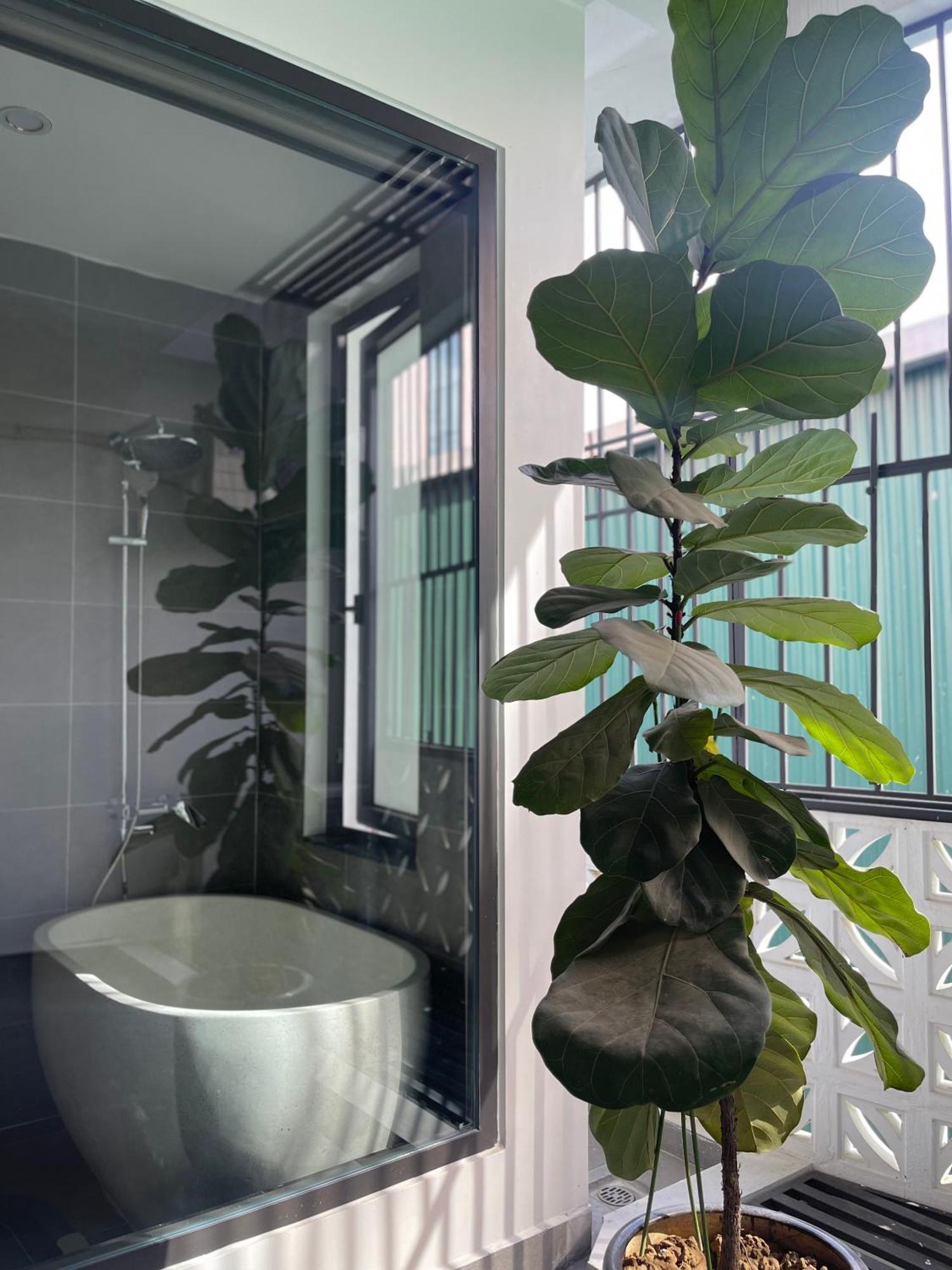 Alala Homestay- Tuyen Quang City Center- Trung Tam Thanh Pho Tuyen Quang ภายนอก รูปภาพ
